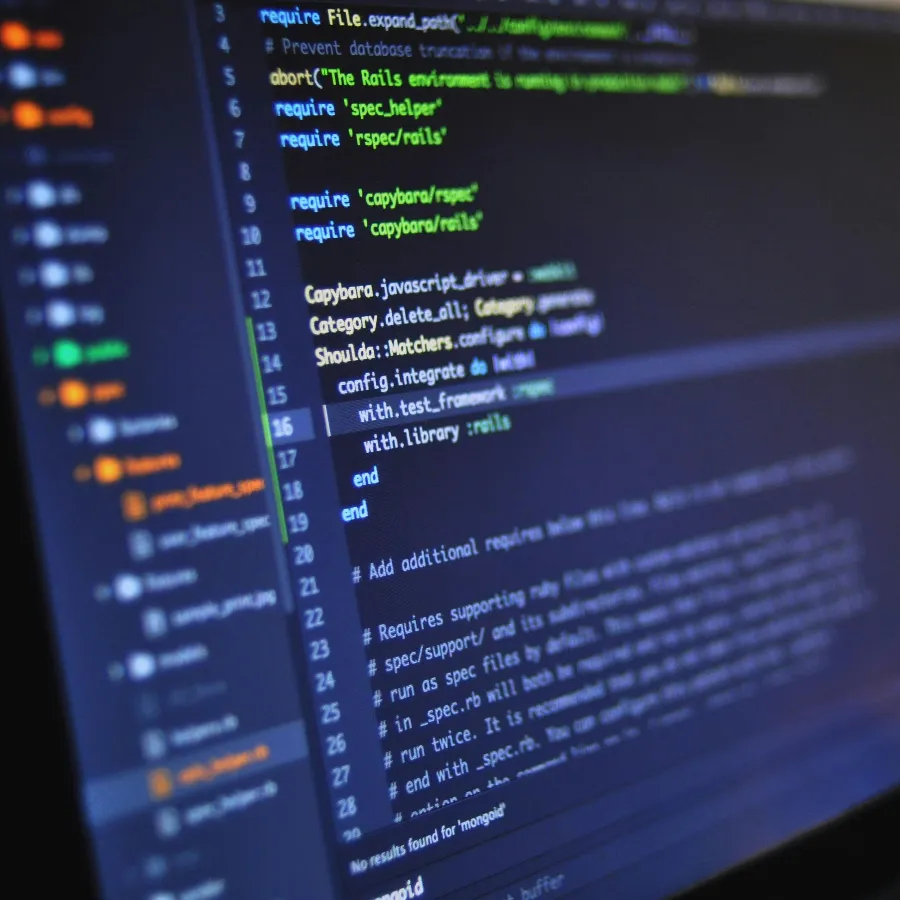 custom WordPress development